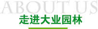 走进南宫体育网站